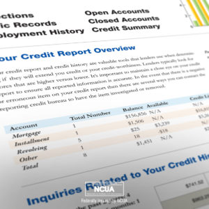 Credit mix and credit history are among the variables that determine your overall score.